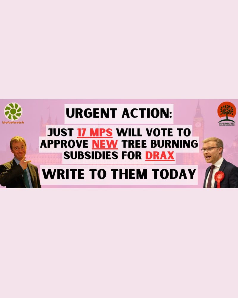 A pink-tinted banner featuring London’s Big Ben in the background. At the top left is the Biofuelwatch logo, and at the top right the Stop Burning Trees campaign logo. Large bold text in black and red reads: “URGENT ACTION: Just 17 MPs will vote to approve NEW tree burning subsidies for DRAX. Write to them today.” On the left and right sides are photos of two MPs in suits.