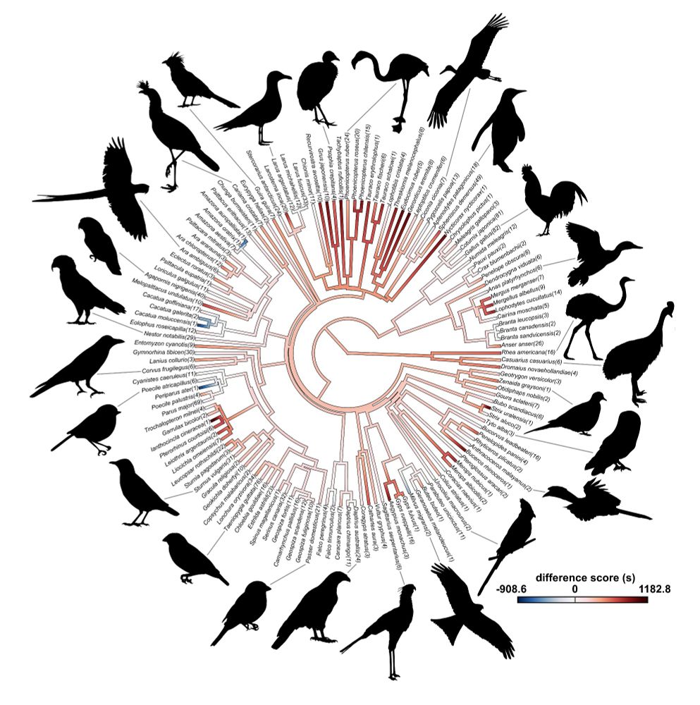 Phylogenetic tree of the 136 studied avian species with neophobia scores mapped onto it.