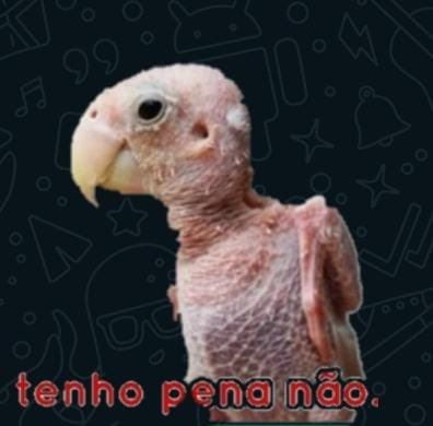 Comment image