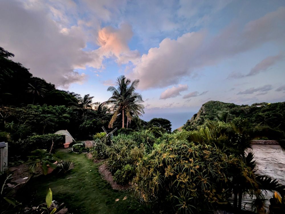 A view of a tropical garden leading down to the Caribbean Sea, taken from the island of Saba. There is a small decorative windmill, a tall palm tree and early morning sun reflecting off the fluffy clouds. 