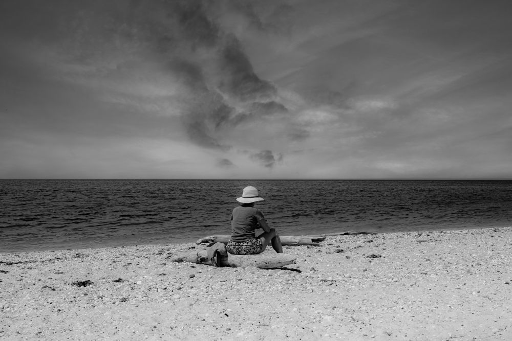 Person, back to camera, seated on piece of driftwood on the shore. 