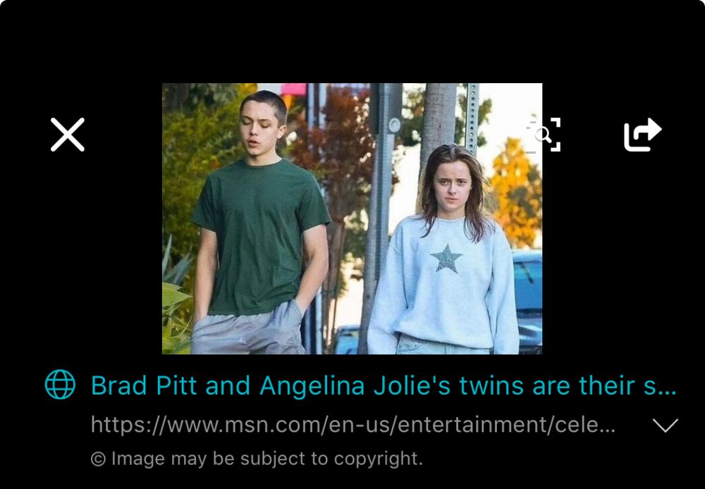 Brad Pitt’s fraternal twins.