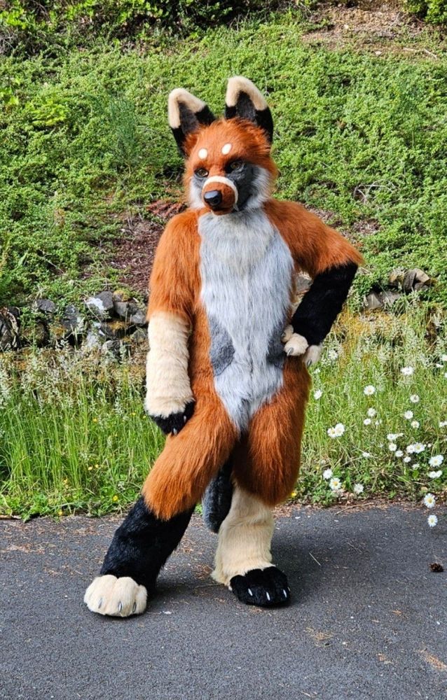 Canine fursuit with rust, grey, black, and yellow fur posing for the camera.