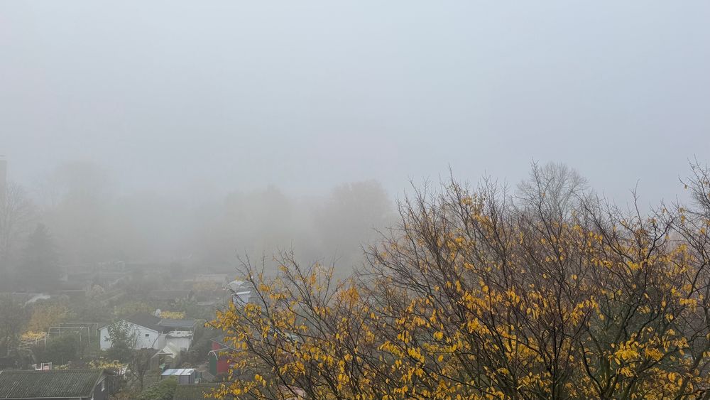 Nebel über einer klein Garten Kolonie 