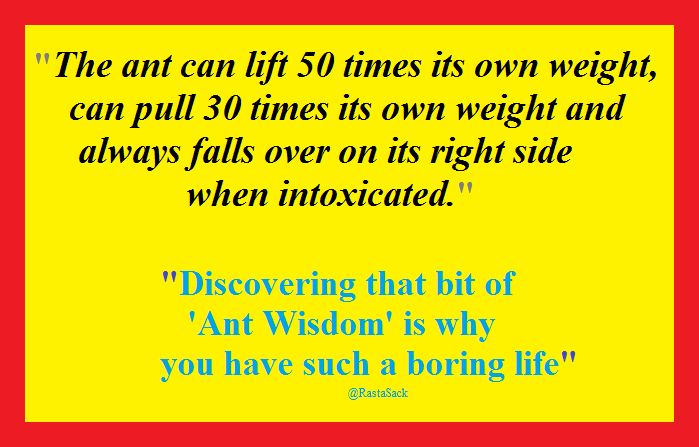the ant can lift 50 times its own weight, can pull 30 times its own weight, and always falls over on its right side when intoxicated.
discovering that bit of Ant Wisdom is why you have such a boring life