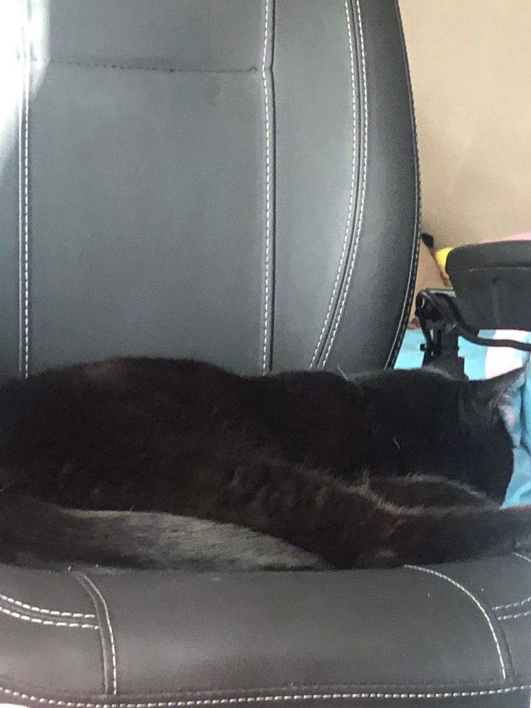 A black cat laying on the seat of a power chair. 