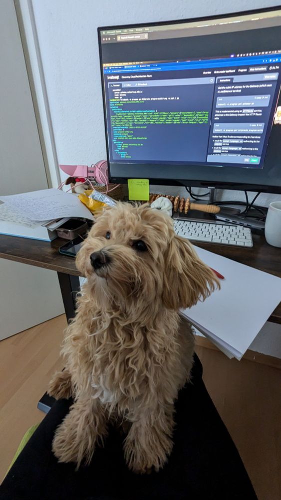 Puppy in front of a display containing code.