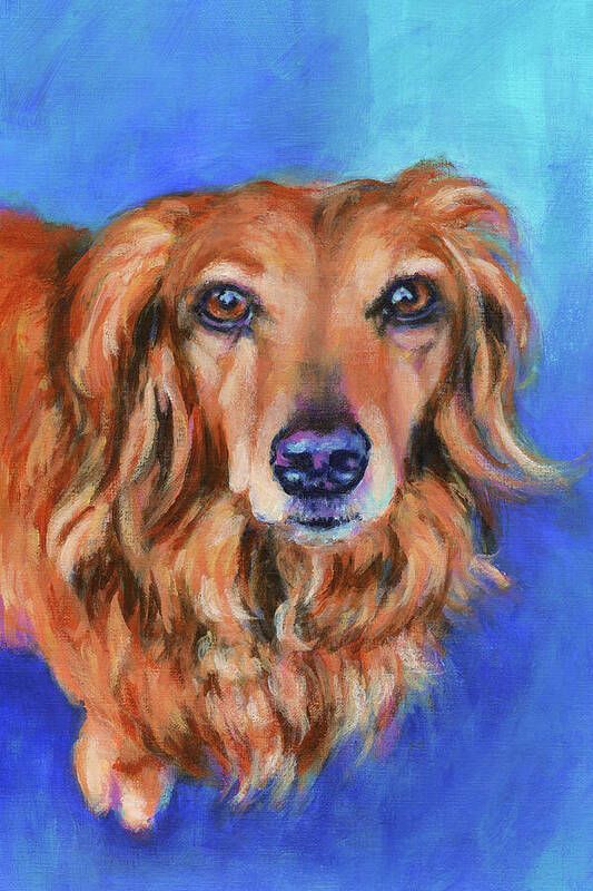 Long haired dachshund portrait is a hand-painted acrylic painting in portrait format by the artist Karen Kaspar.
It shows the head and part of the body of a reddish-brown long-haired dachshund against an abstract background in strong blue tones. The dog stands on the ground and looks up at the viewer with a loyal dog's gaze from expressive brown eyes. The pet's long reddish-brown fur is painted in waves with loose brushstrokes.