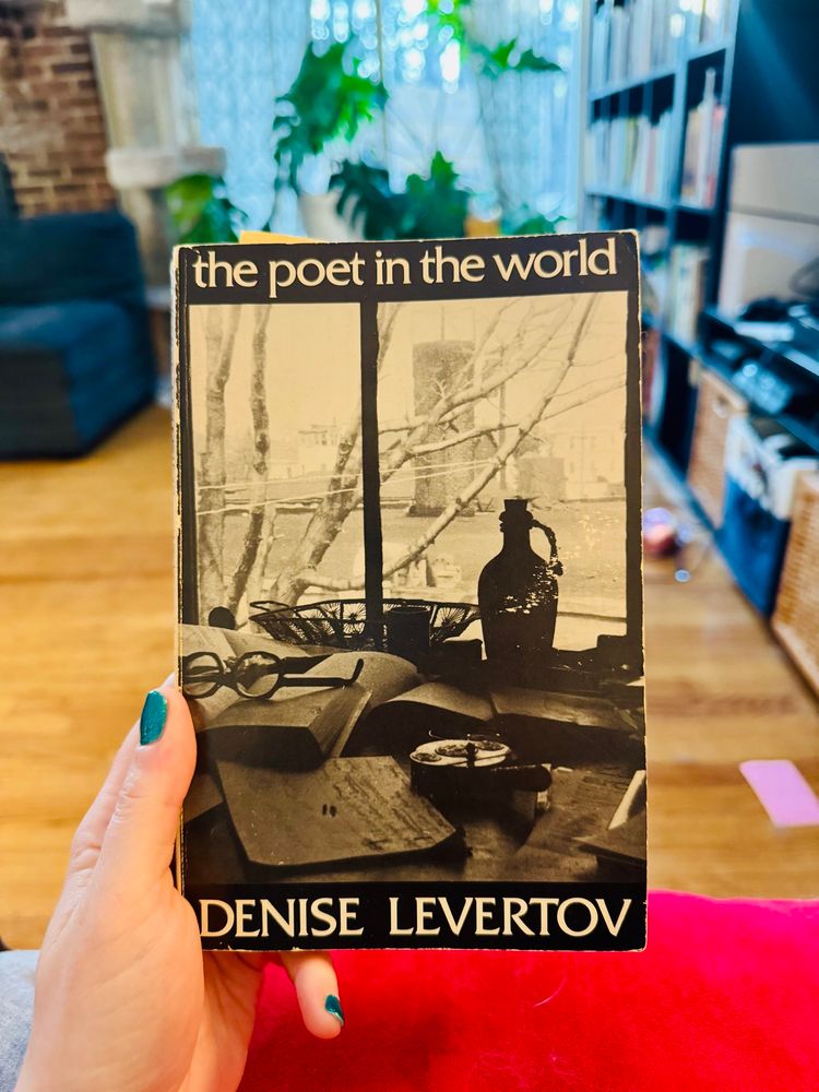 the poet in the world
DENISE LEVERTOV

Starting my week off right // book held up in front of living room interior, philodendron revolution rising in the background above hardwood floor