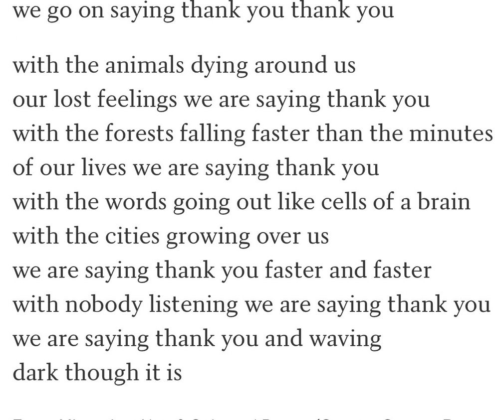 we go on saying thank you thank you

with the animals dying around us our lost feelings we are saying thank you with the forests falling faster than the minutes of our lives we are saying thank you with the words going out like cells of a brain with the cities growing over us
we are saying thank you faster and faster with nobody listening we are saying thank you we are saying thank you and waving dark though it is