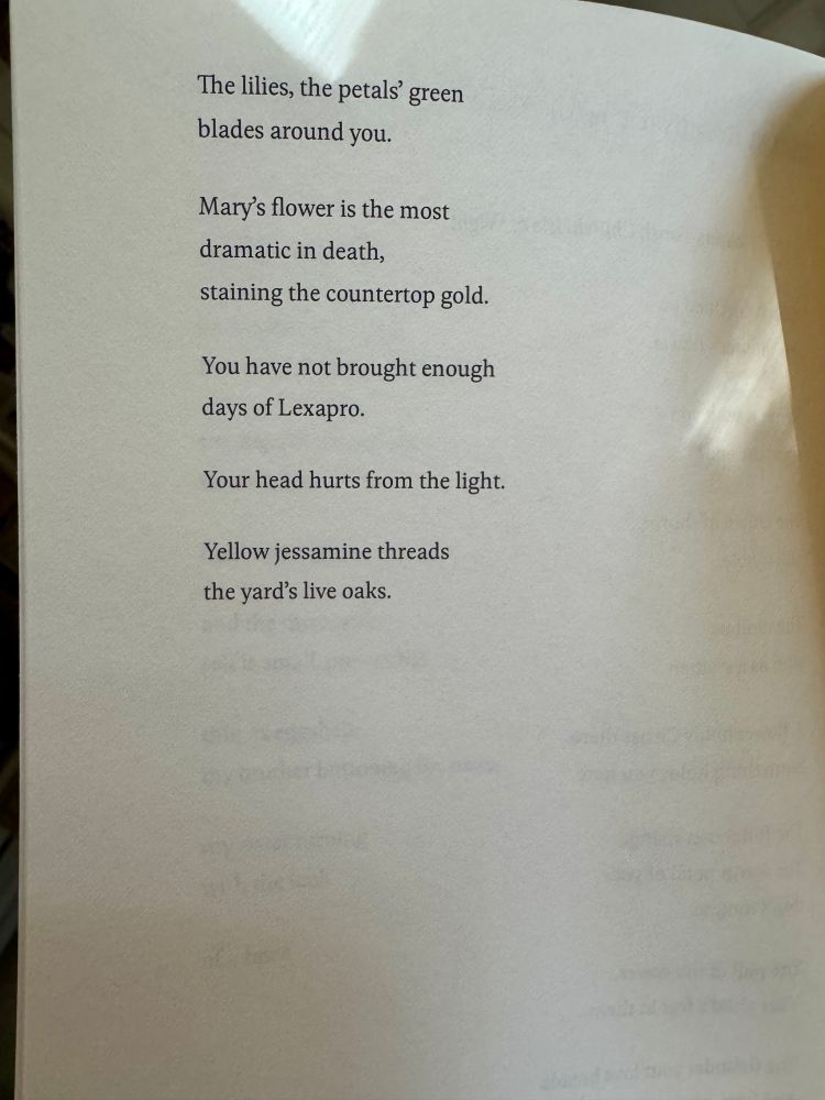 The lilies, the petals green 
blades around you.

Mary's flower is the most 
dramatic in death,
staining the countertop gold.

You have not brought enough 
days of Lexapro.

Your head hurts from the light.

Yellow jessamine threads 
the yard's live oaks.