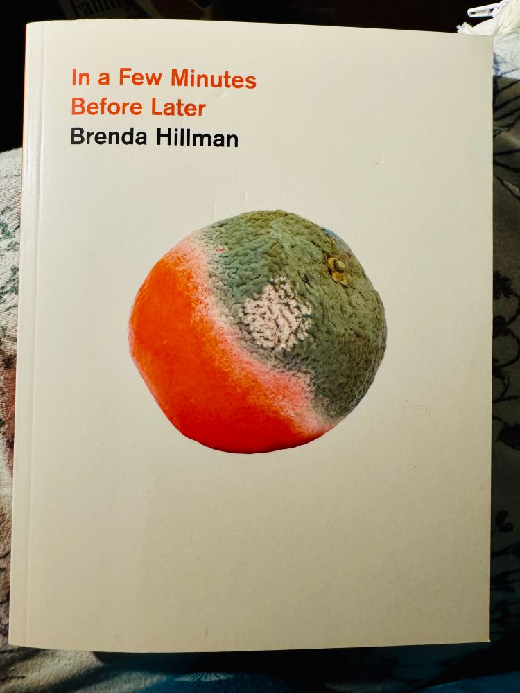 In a Few Minutes
Before Later
Brenda Hillman

Book cover, white, features an orange in dramatic decay