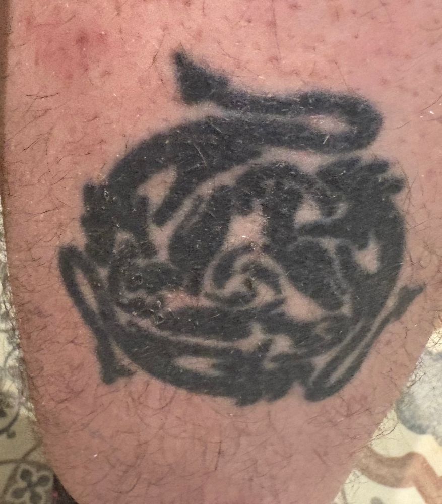 A tattoo of a tangle of dragons on a leg. It has become a bit indistinct over time, and wasn’t done especially well in the first place!
