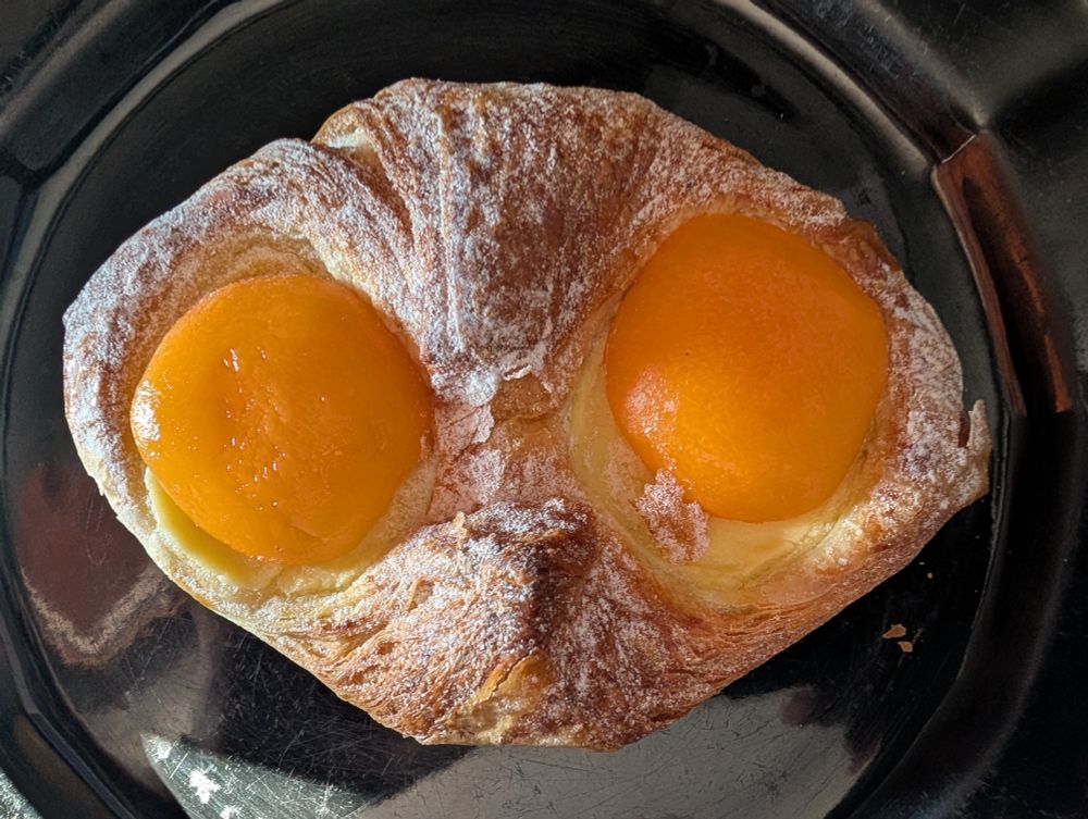 The apricots look like orange, rare-filled eyes and the pastry and unforgiving avian face