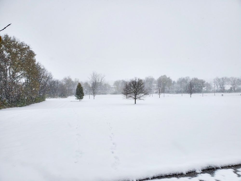 Snow is a vast expanse on the ground.
