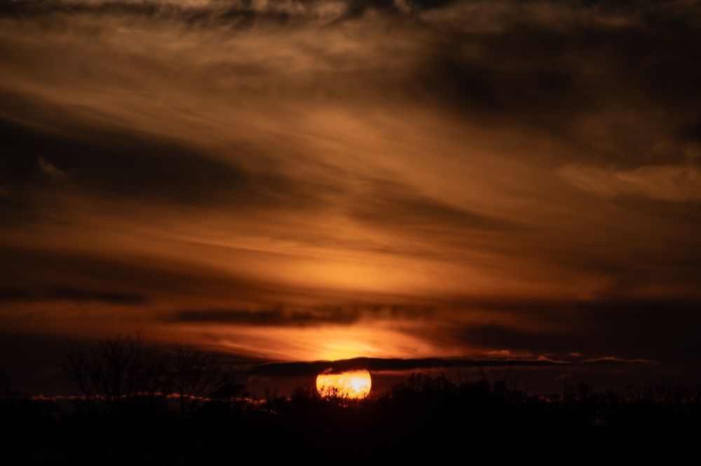 The orb is low and the pattern of trees is imprinted into it. Everything else is orange clouds. 