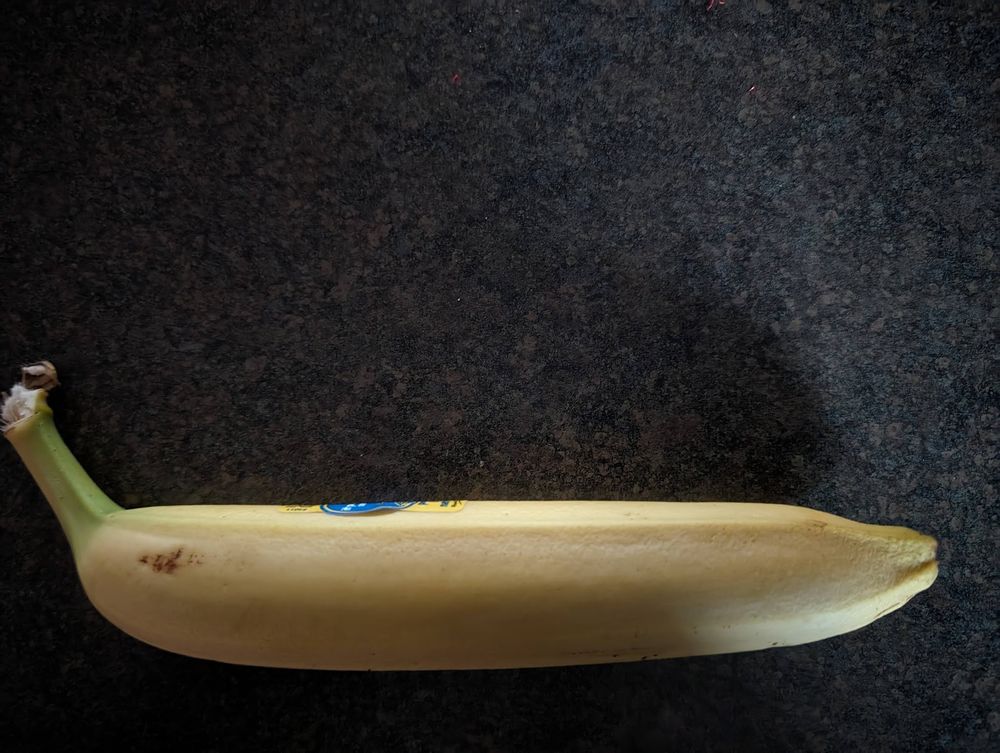 The straightest banana you have ever seen
