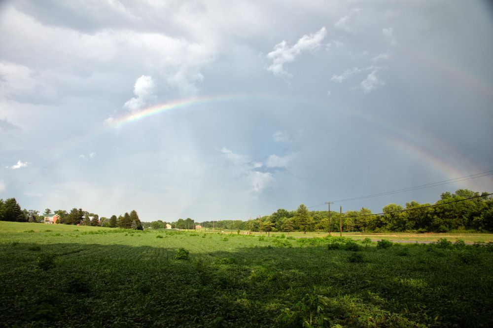 A rainbow in a low arc across a rural Ohio landscape, featuring a soybean field.