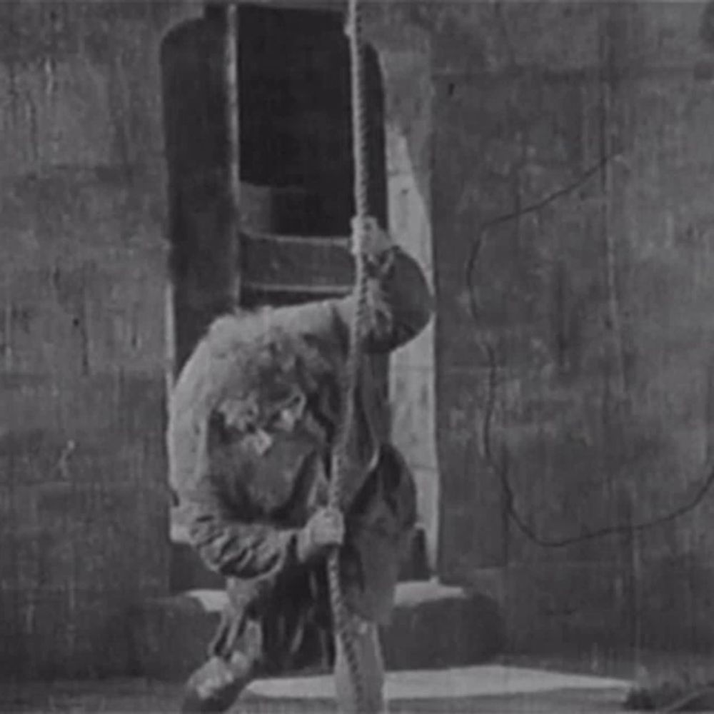 Hanging On The Rope Quasimodo GIF