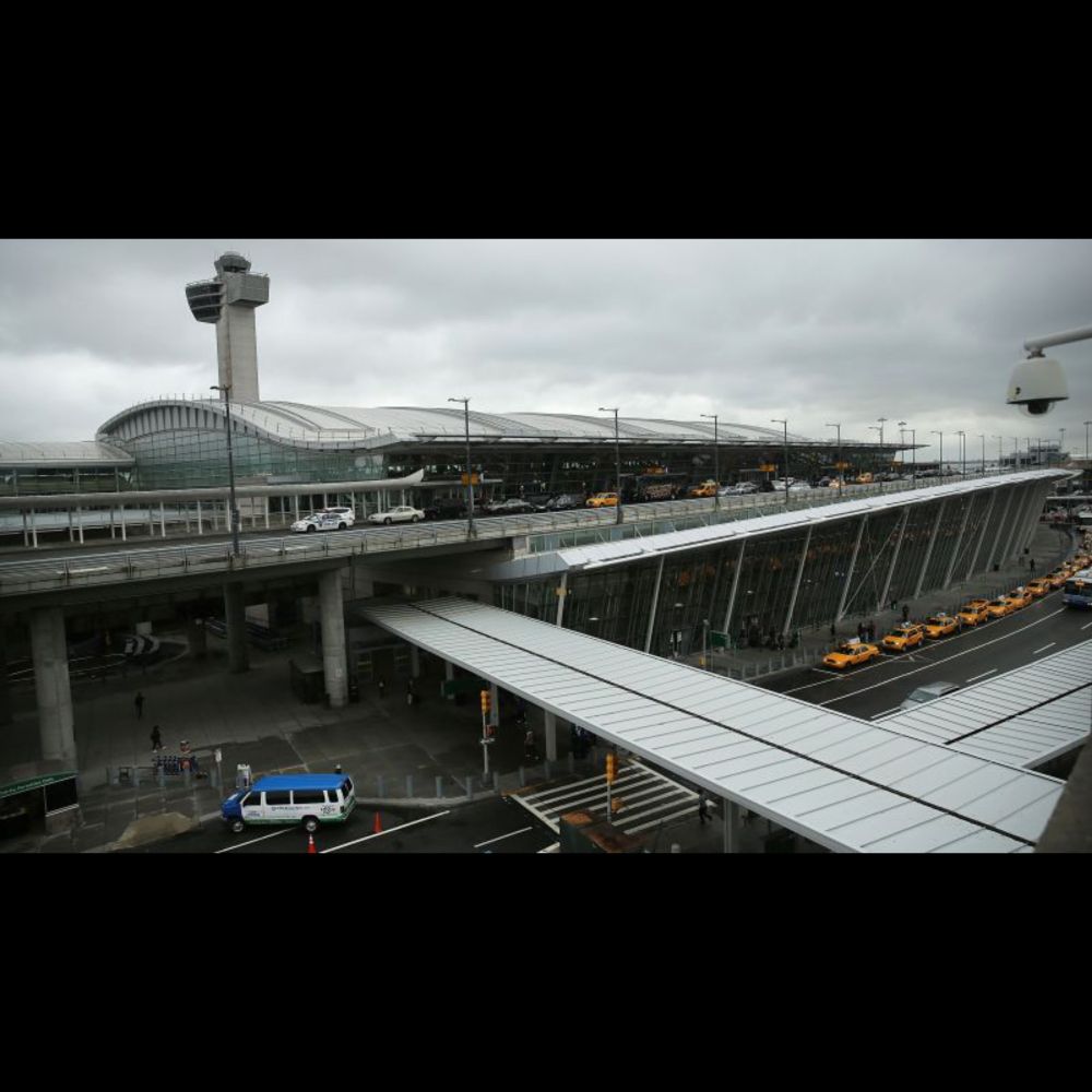 Plane turns back to JFK after horse escapes on board | CNN