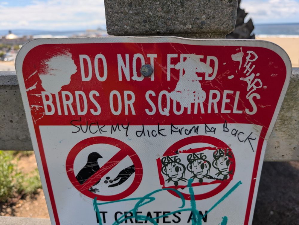 The sign says "Do not feed birds or squirrels" and the graffitied response on it says "suck my dick from da back" 