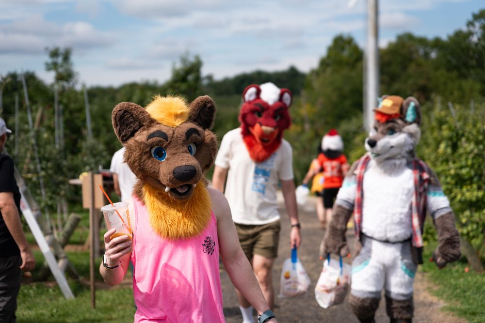 Jatt, a pine marten fursuiter, holds a drink in their hand while they walk down an orchard row. Two fursuiters are walking behind.