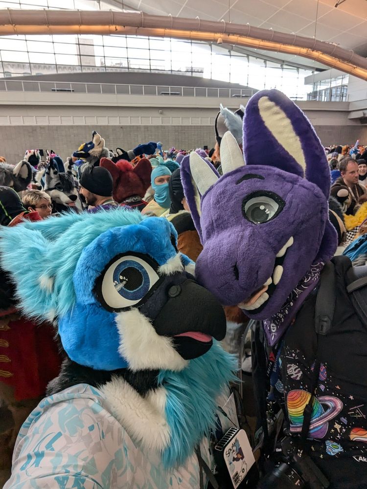 Zephyr (a blue gryphon fursuiter) takes a picture with Adelair (a purple dragon fursuiter)