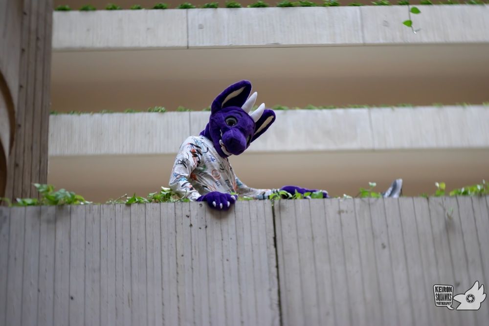 Adelair, a purple dragon fursuiter, looks down from a tall balcony