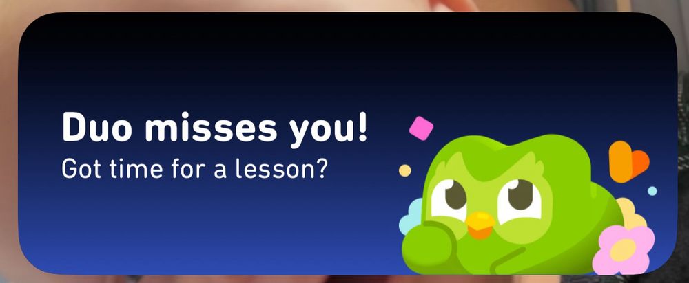 Duo is smiling and surrounded by little hearts and flowers. It says, “Duo misses you! Got time for a lesson?”