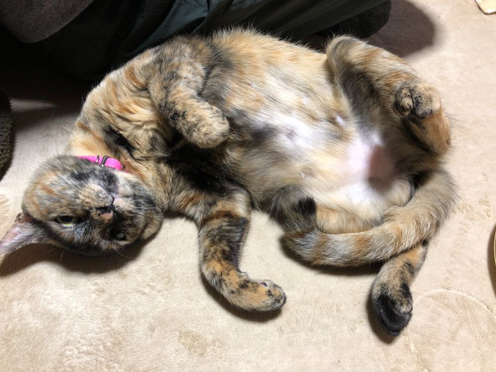ちょっとエッチぃ