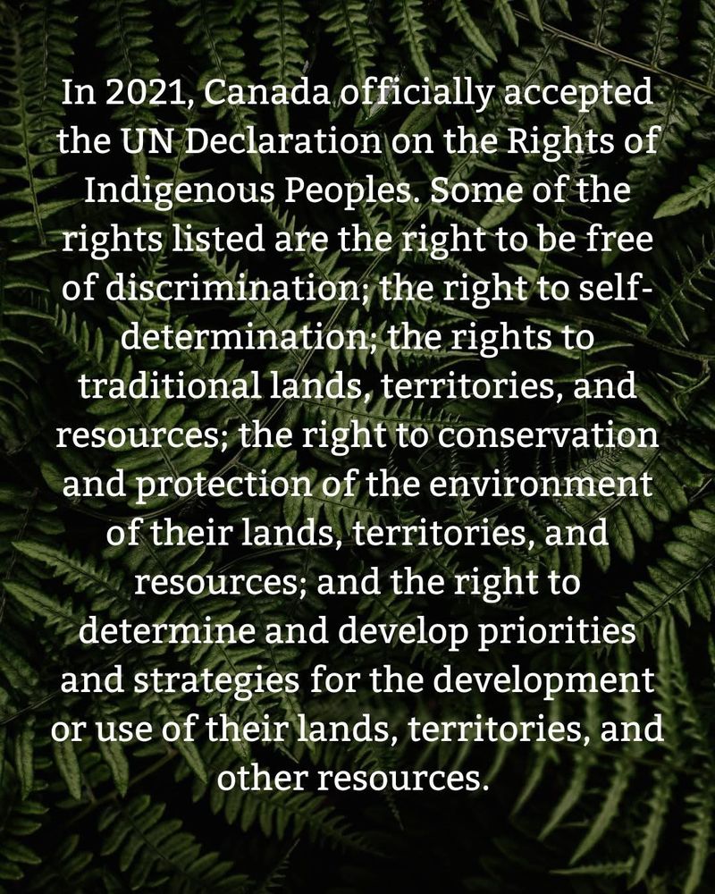 In 2021, Canada officially accepted the UN Declaration on the Rights of Indigenous Peoples. Some of the rights listed are the right to be free of discrimination, the right to self-4 determination, the rightsto traditional lands, territories, and resources, the right to conservation and protection of the environment of their lands, territories, and resources; and the right to determine and develop priorities and strategies for the development or use of their lands, territories, and
other resources.