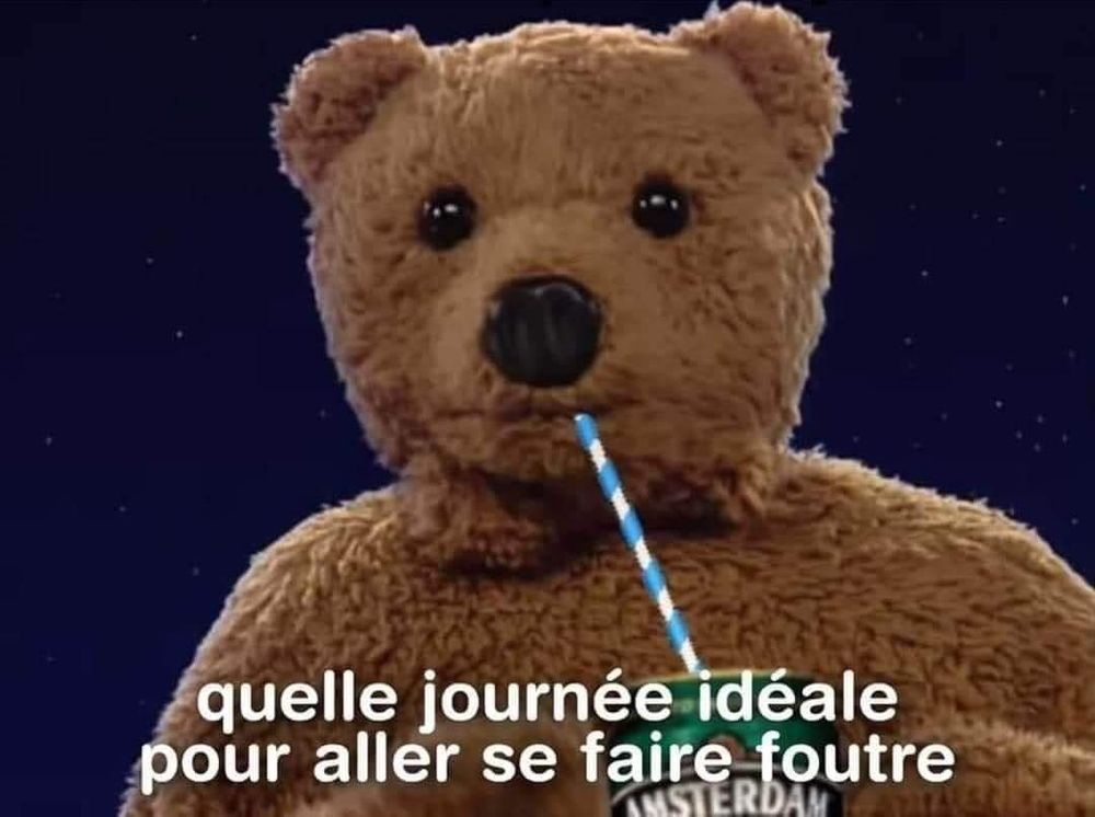 Nounours de Bonne nuit les petits qui boit une bière avec "quelle journée idéale pour aller se faire foutre" écrit 