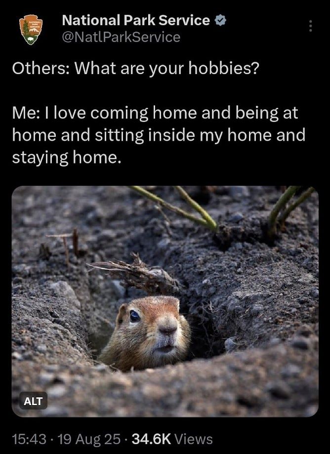Screenshot of a National Park Service tweet that reads: ‘Others: What are your hobbies? Me: I love coming home and being at home and sitting inside my home and staying home.’ Beneath it is a photo of a prairie dog peeking out of a dirt burrow.
