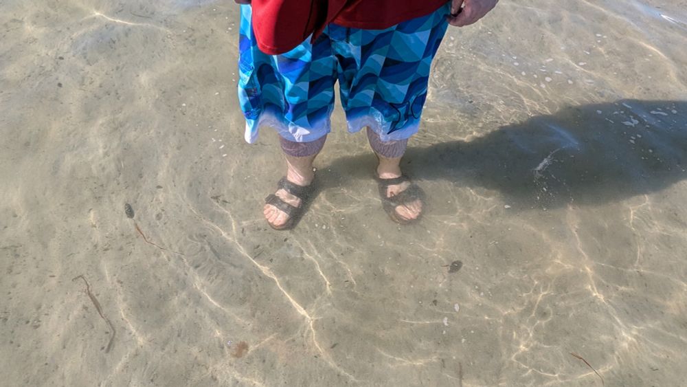 Mysterious sea creature; Big Tibrune Bay, BC. 2025.