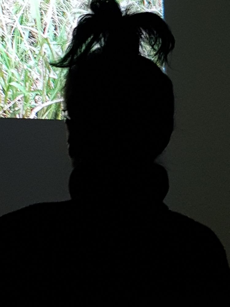 Personne au cinéma avec pour coiffure les cheveux attachés en haut du crâne en forme de palmier.