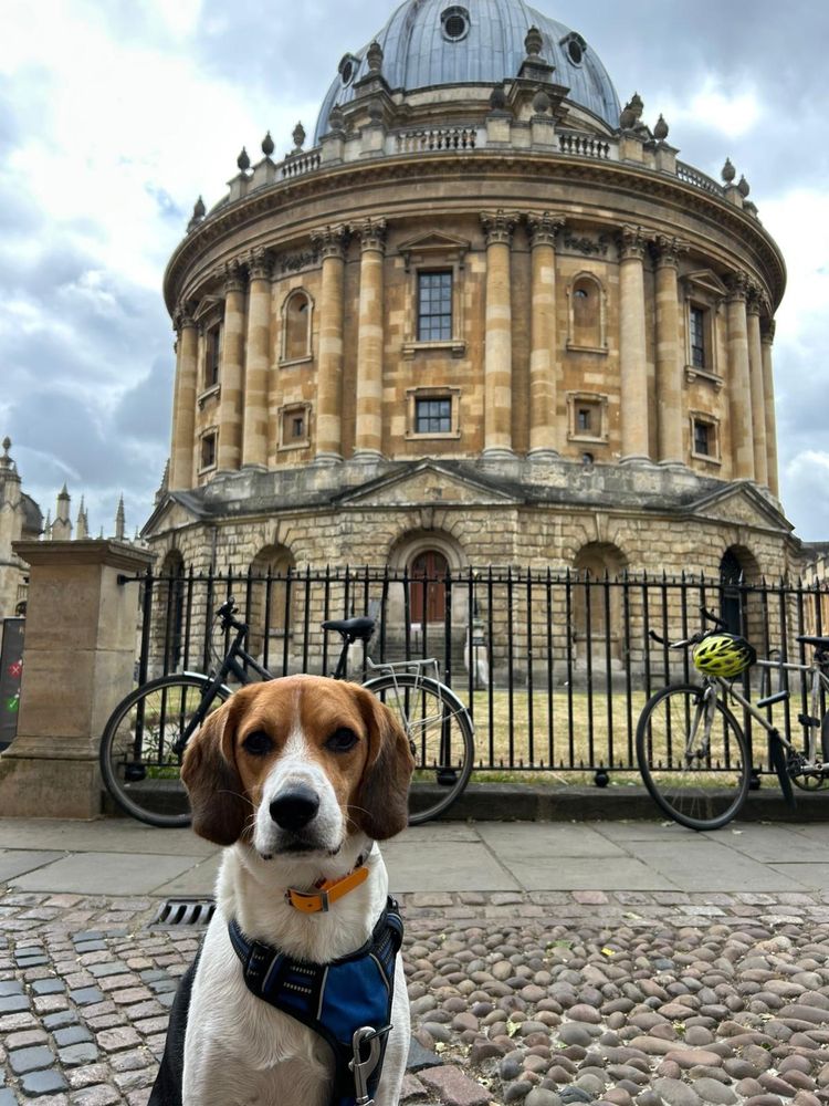 Otis the beagle posing in front of the Rad Cam in Oxford