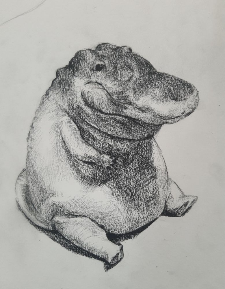 Fat alligator sitting