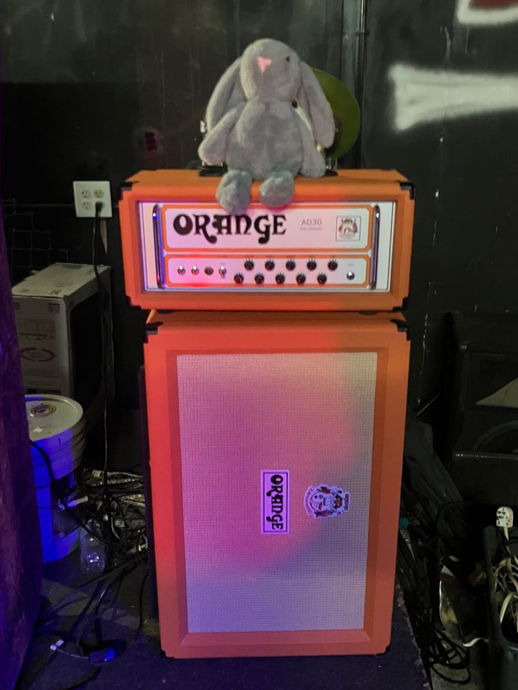thumper relaxing on an orange amp