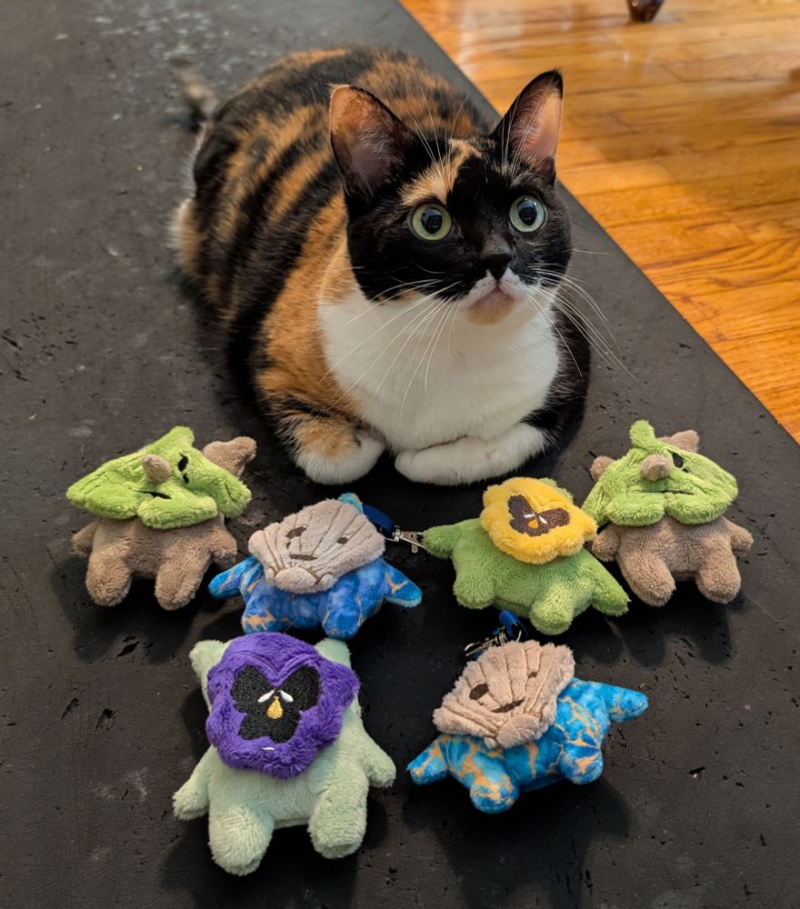 A calico cat with a group of handmade Summer themed Korok plushie keychains from the Legend of Zelda in front of her.