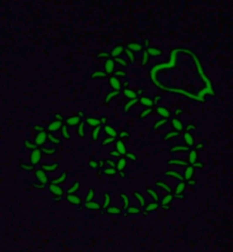 A handmade skeleton snake plushie.   Photo shows how its embroidery glows in the dark.