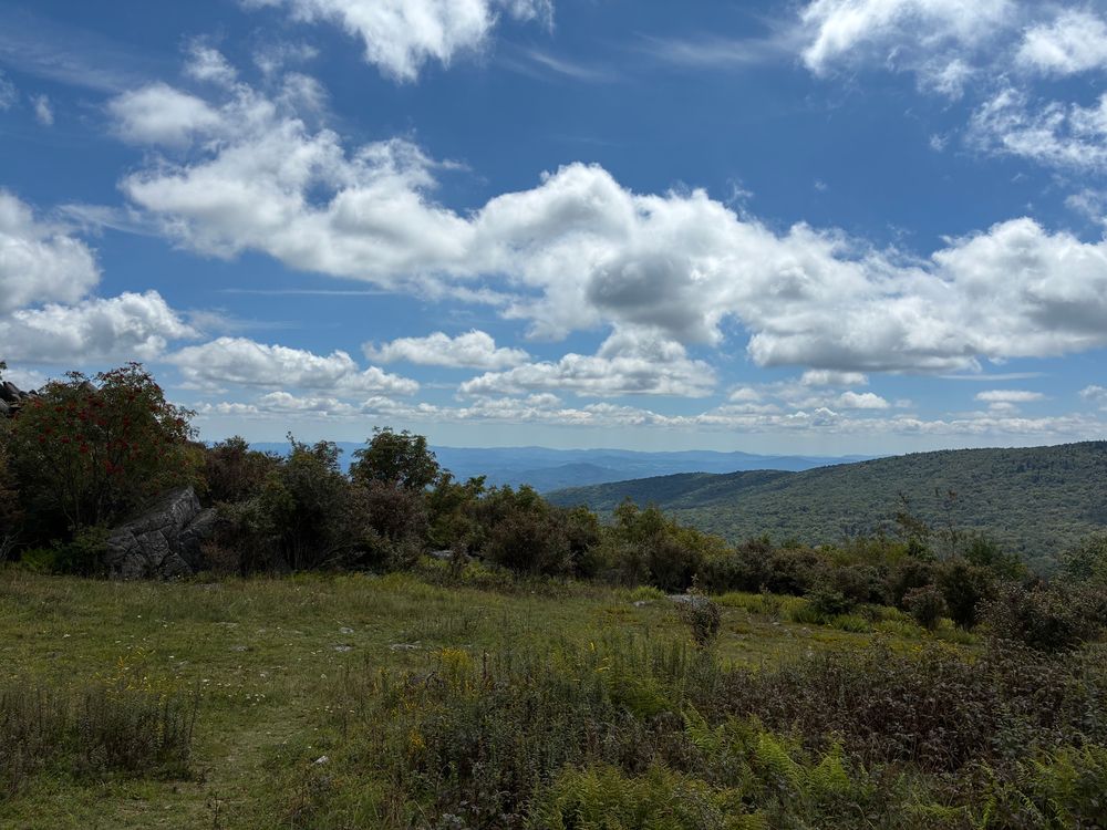 A photo of a landscape in south western Virginia at Grayson Highlands State Park. Green scrubland and rolling hills with fluffy white clouds in a vast blue sky. 