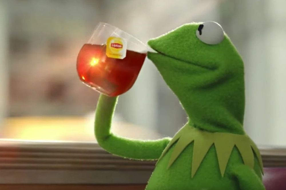 Kermit sipping tea and minding his own business meme.