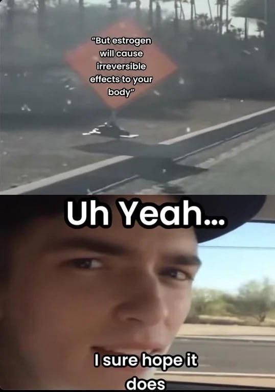 Transfem Meme 