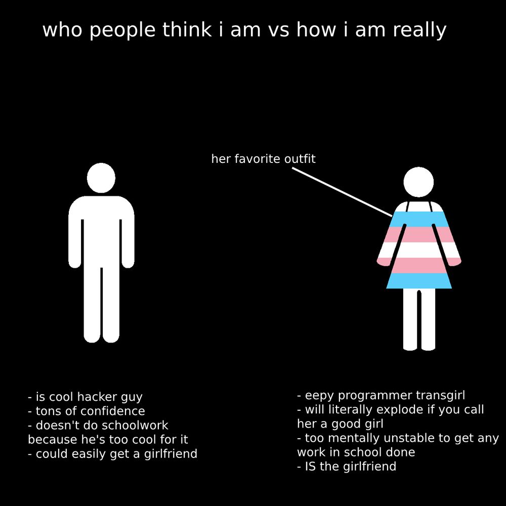 Transfem Meme 