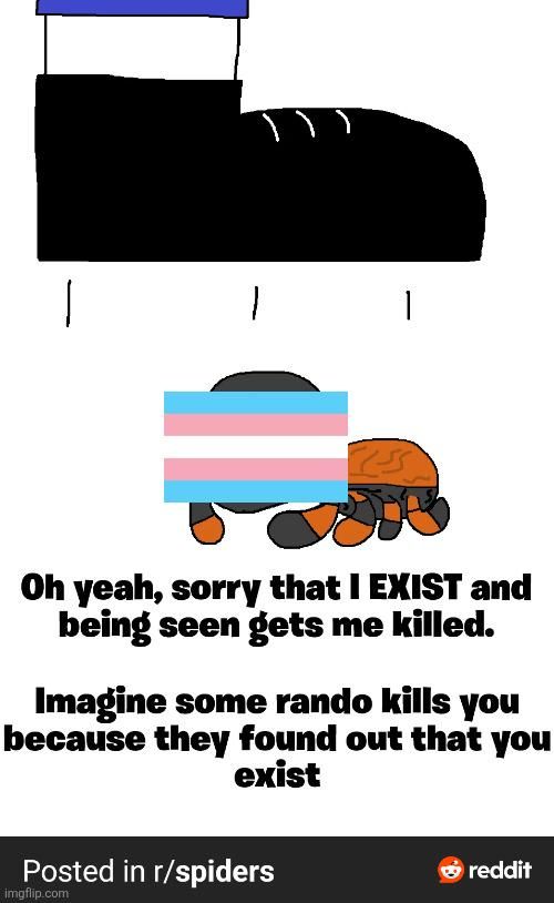 Transphobia 