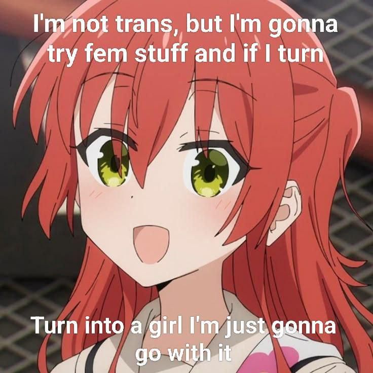 Transfem Meme 