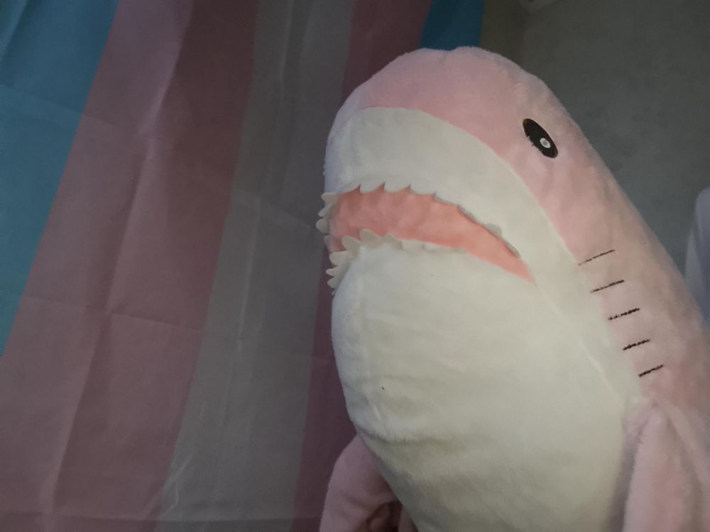 Transfem Meme 
