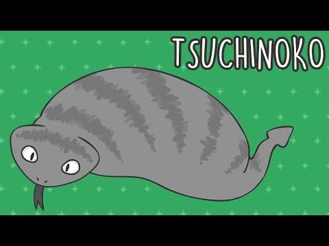 TSUCHINOKO ||Cryptid Animation||