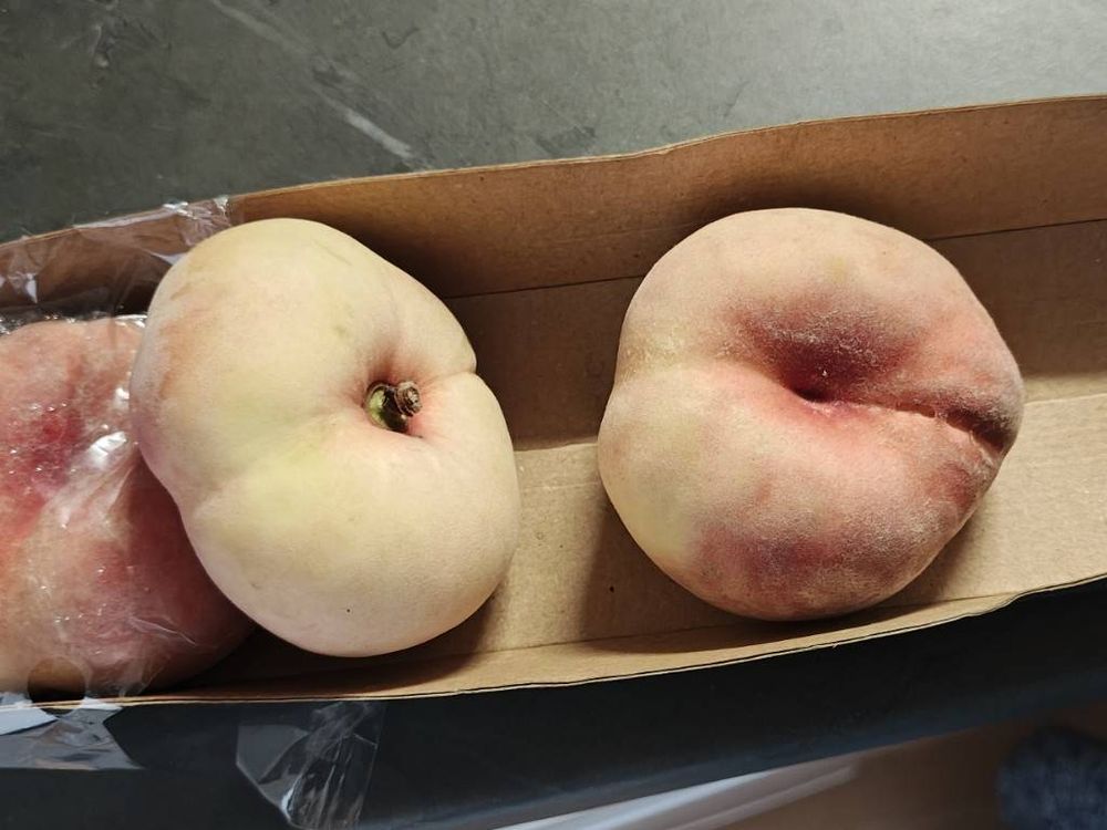 カルフールで買った蟠桃。6個入り2ユーロくらいだった