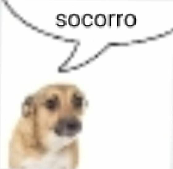 Comment image